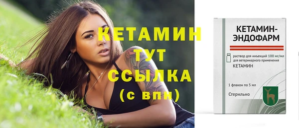 ECSTASY Вяземский