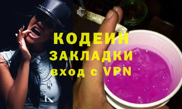 гидра Вязьма